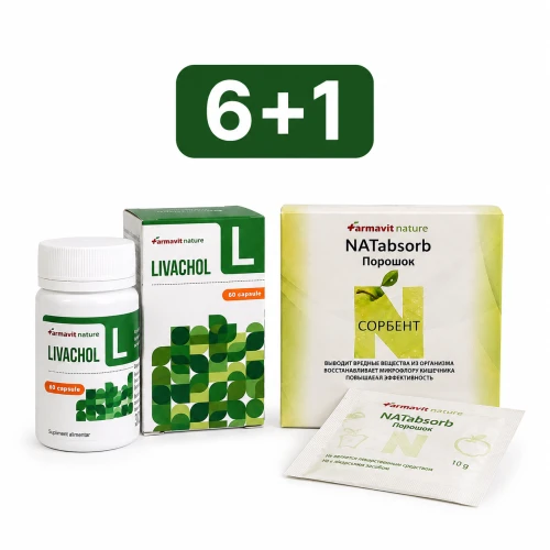 Промо-набор LIVACHOL 6+1 — NATabsorb в подарок